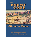 The Enemy Gods