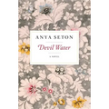 Devil Water