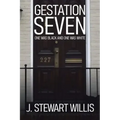 Gestation Seven: One Was Black and One Was White