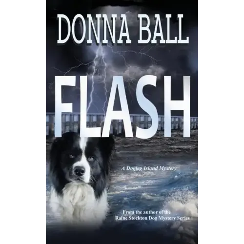 Flash